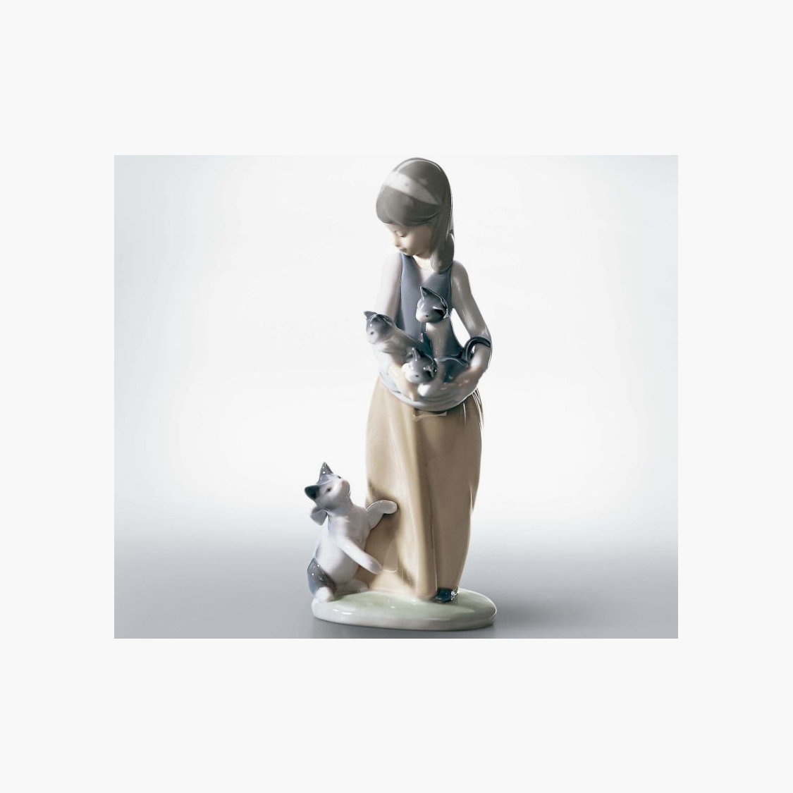 Siguiendo A Sus Gatitos