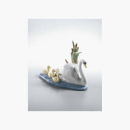 Cisne Con Su Cría